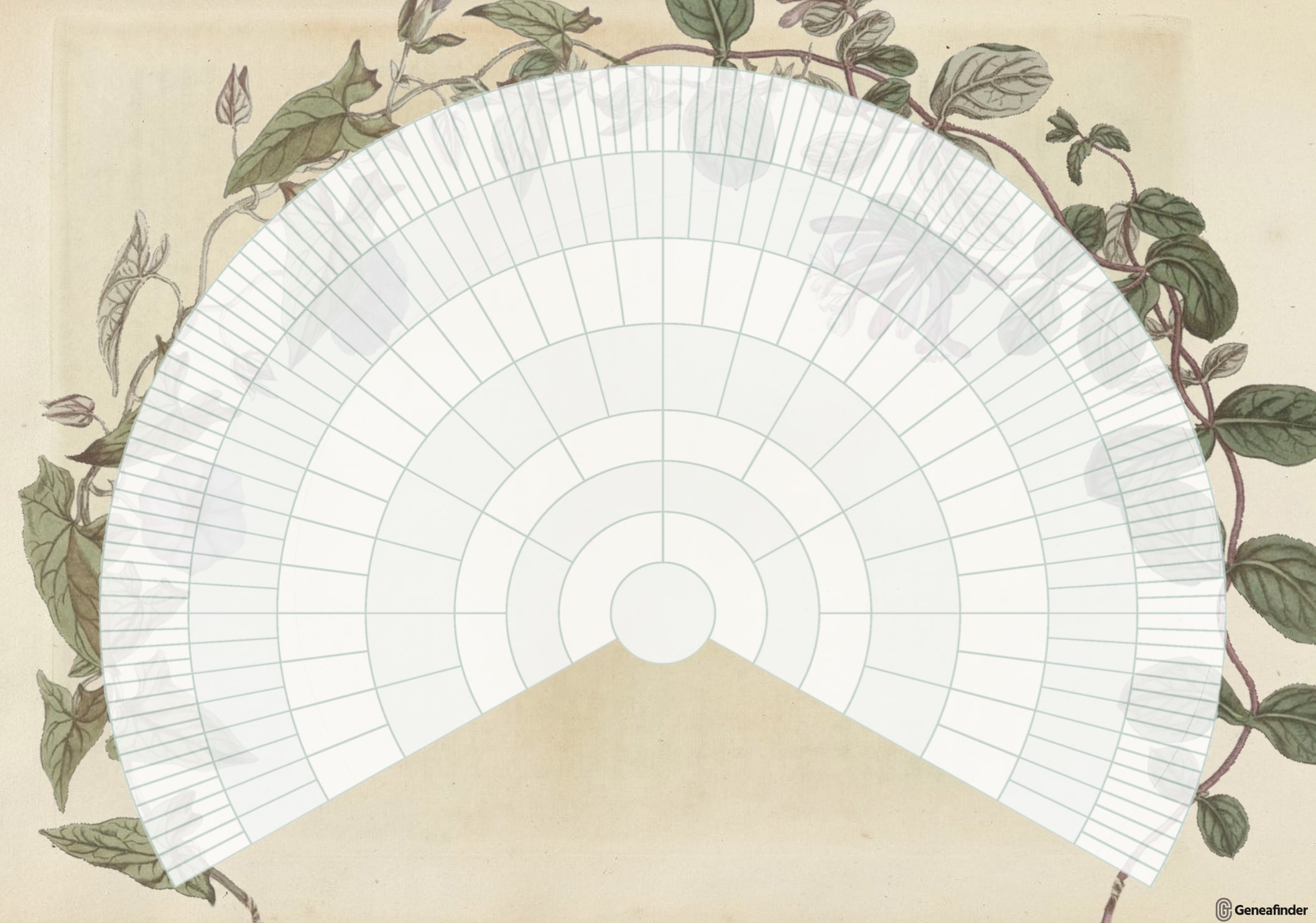 Arbre généalogique roue d'ascendance 8 générations illustré