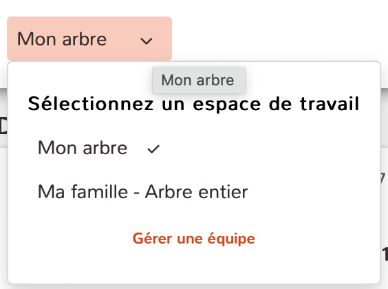 geneafinder-sélection de l'espace de travail