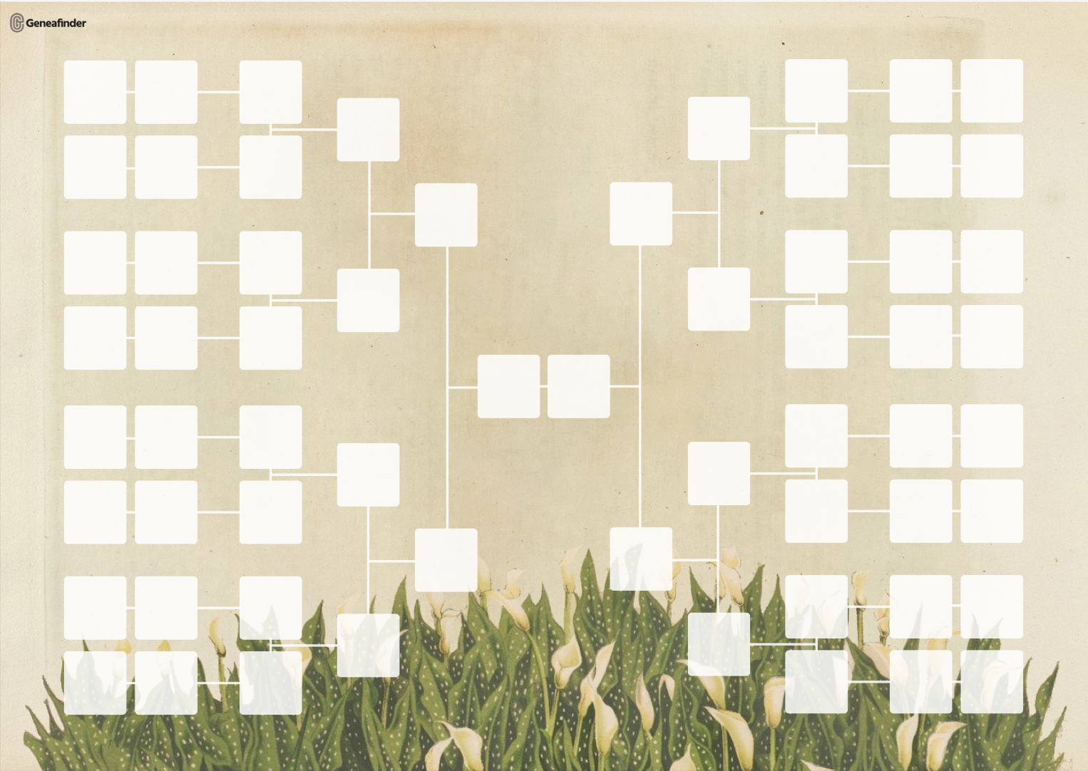Arbre généalogique horizontal 5 générations illustré