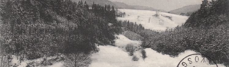 Généalogie dans les Vosges : retrouvez la trace de vos ancêtres