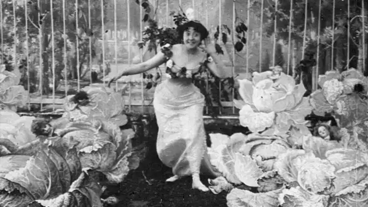 la fée aux choux alice guy