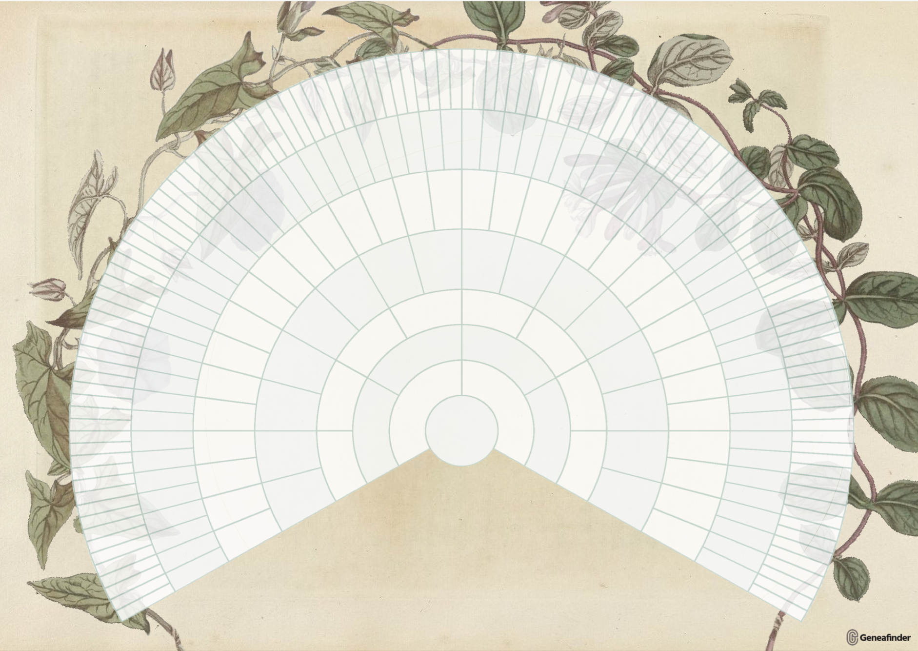 Arbre généalogique roue d'ascendance 8 générations illustré