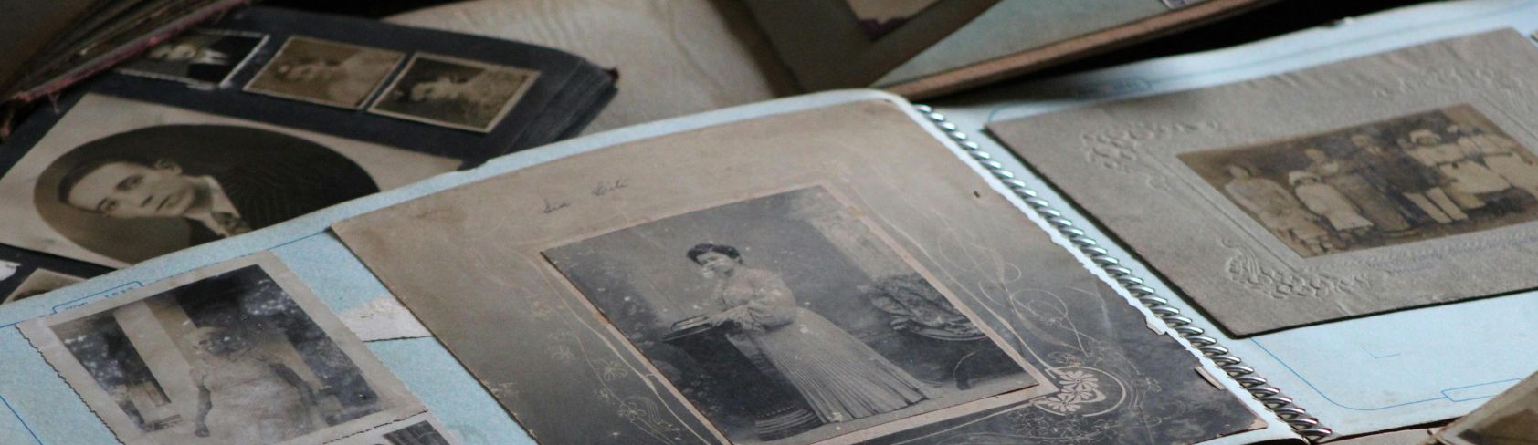 How to Start Your Family Tree in 4 Simple Steps?