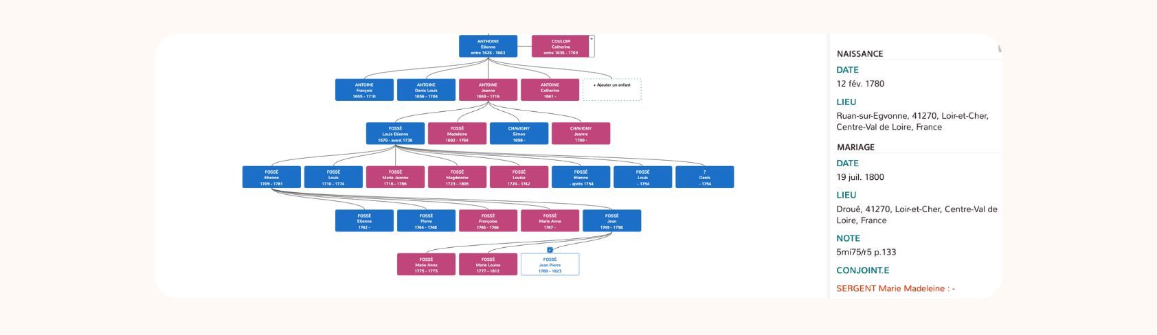 Un arbre personnalisable sur Geneafinder : l’outil de pilotage de votre généalogie