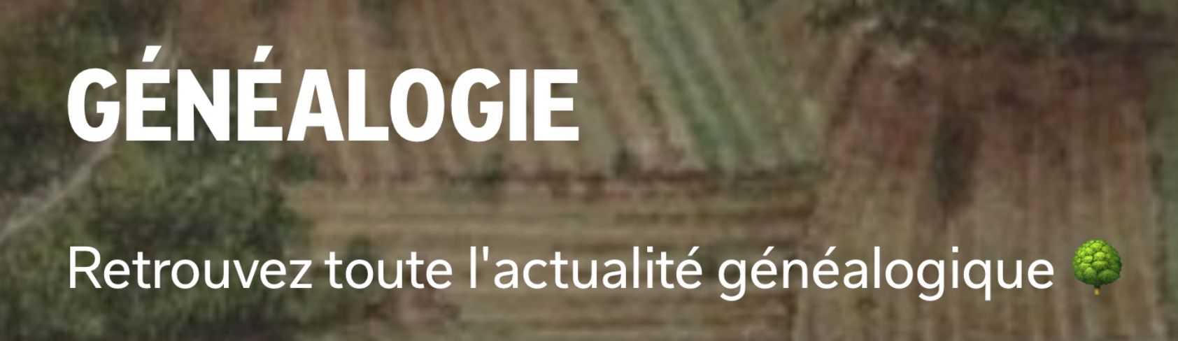 5 ressources pour suivre l’actualité généalogique en 2026