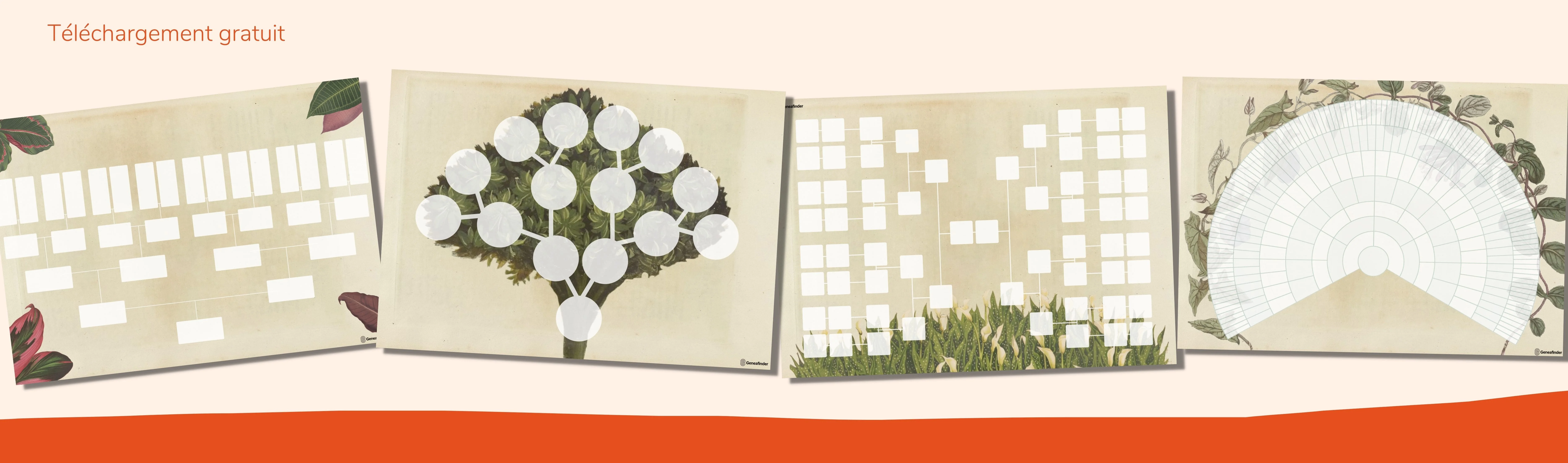 4 Illustrated Genealogy Tree Models to Print for Free