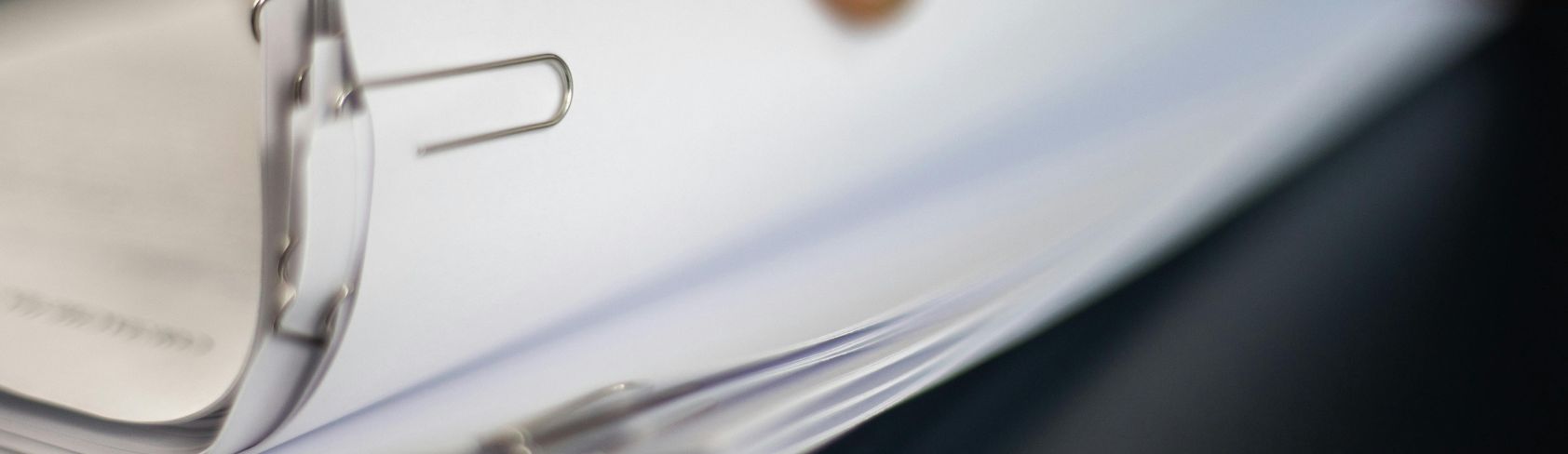 Trop d’informations, pas assez de structure : comment faire le tri en généalogie