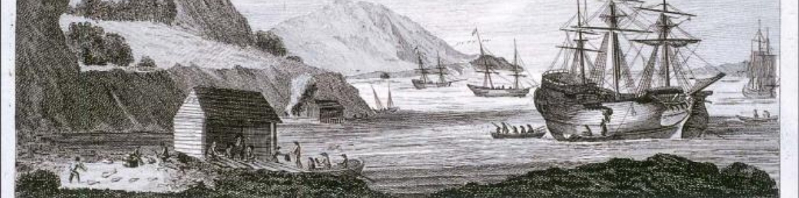 Picture_articleP comme Pêcheurs de Terre-Neuve