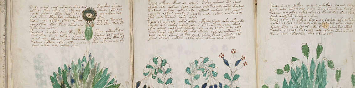 W comme Wilfrid Michael Voynich
