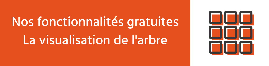 Nos fonctionnalités gratuites : la Visualisation de l’arbre généalogique